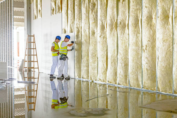 Best Residential Insulation in Orleans, VT